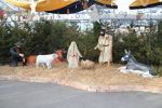 Besuch des Weihnachtsmarkts Hirschstetten