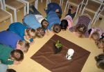 Die „Frühling in Kindergarten“